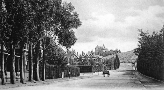 Historic black-and-white Johannesburg streetscape