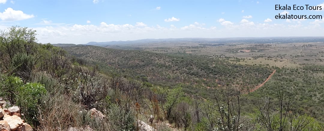 Panoramic view of a vast, green savannah landscape with rolling hills under a partly cloudy sky